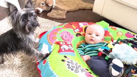 Cute baby playing with pet