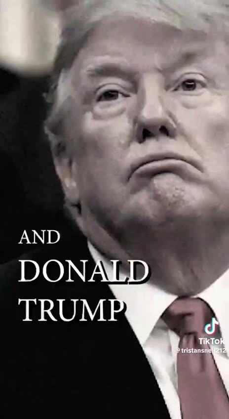 Law & Order - Special Trump Unit