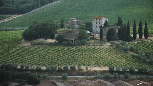 vineyard on the hill old mediterranean buildings