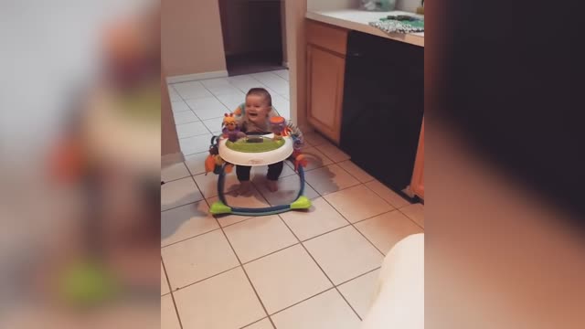 Animals and Babies