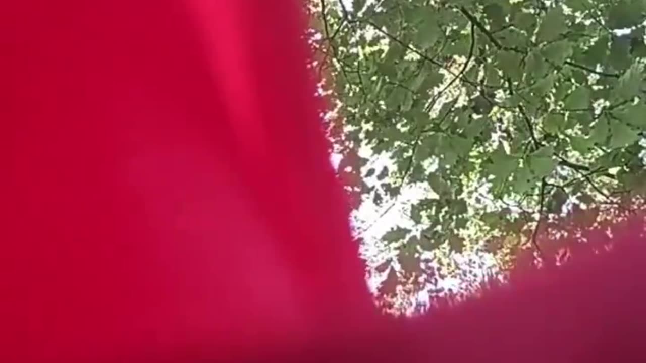 1 dead, at least 6 wounded after mass shooting at Maplewood Park in Rochester, New York