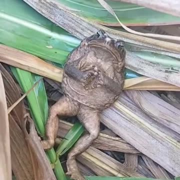 Taking an extended lunch break 🤣🤣