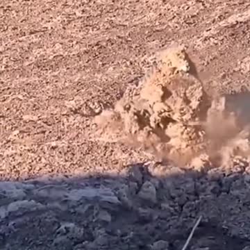 funny|prank|jokes|funny jokes|dad jokes|funny memes|funny video|fun|laughing|funny animal|knock