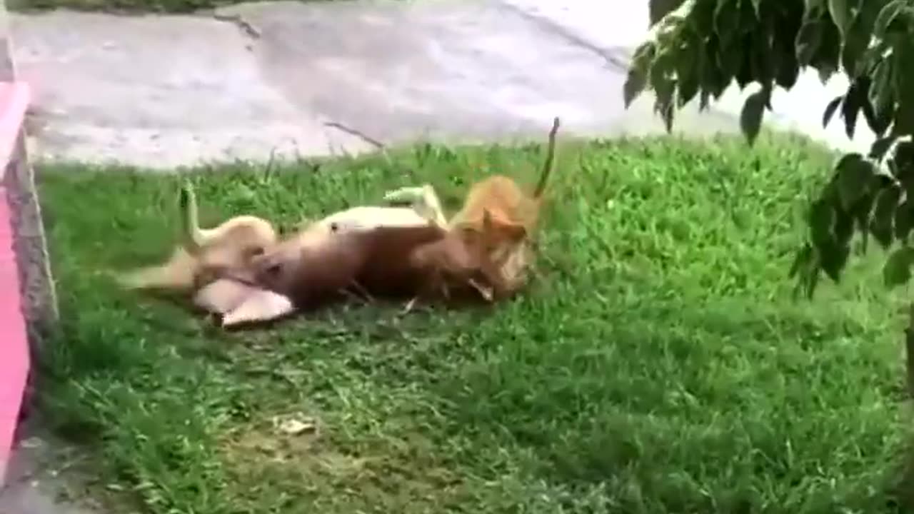 Gotcha! 😂