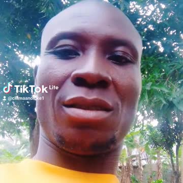 Comedy and funny animals