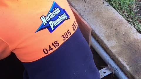 Australian Man Rescues Ducklings Trapped in a Storm Drain