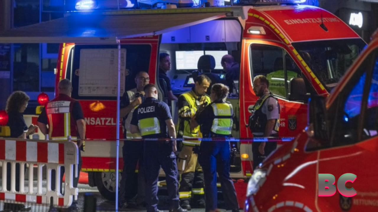 German festival stabbings: 3 dead, 9 knifed in rampage at diversity event