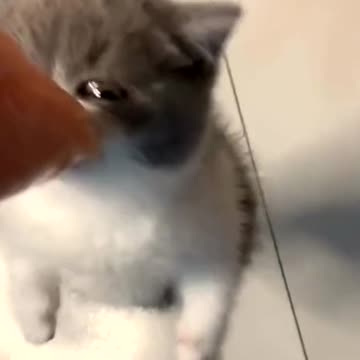 And eating raw meat 😰