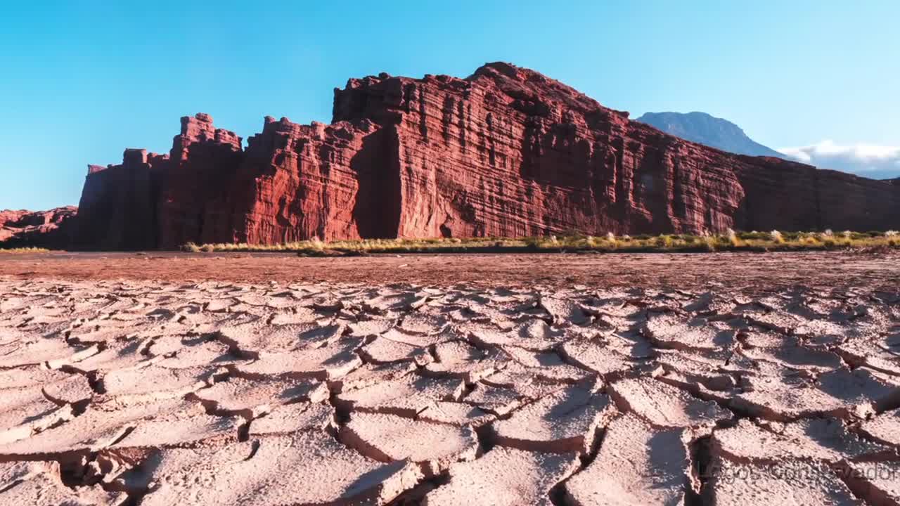 AMAZING IMAGES OF NATURE 1