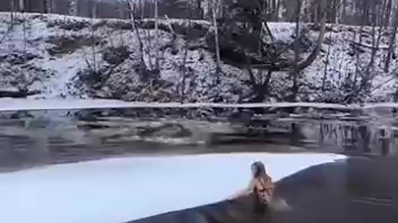 pushing the ice floe🧊льдина сдалась🤪#shorts