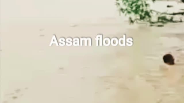 Assam LIVE Updates | Flood In Assam | Flood News | Assamese News Updates | News Assam North East