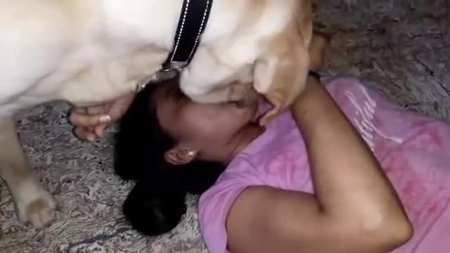 Cute dog kiss and romance with lady