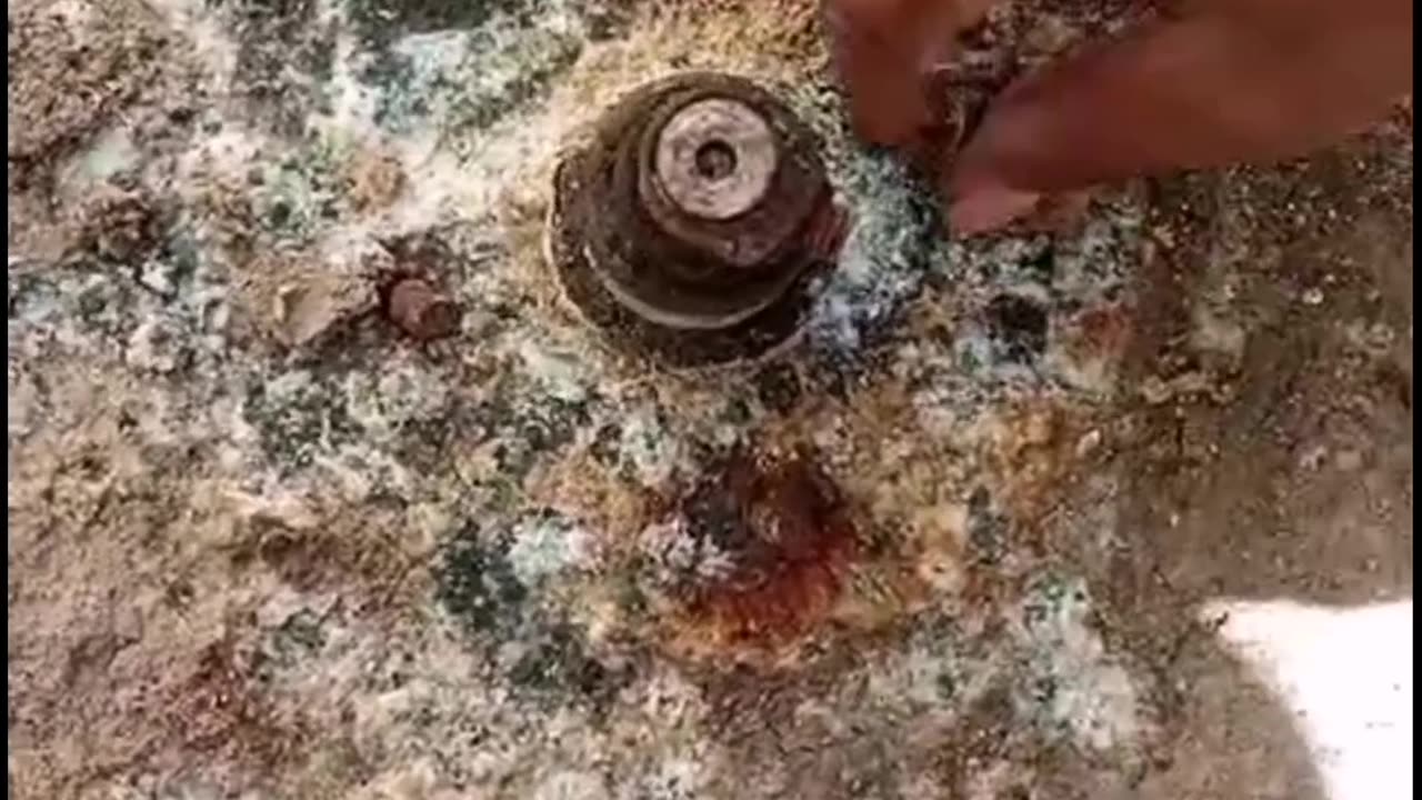 Washing machine maintenance