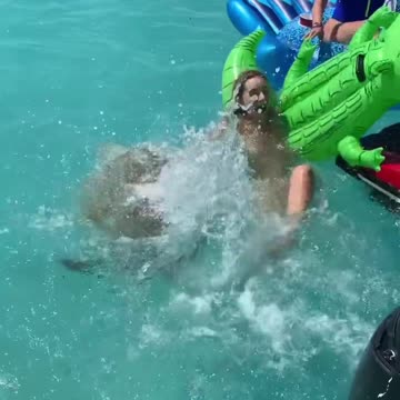 Havuzda yüzen Güzellere Kaplumbağalar Saldirirsan