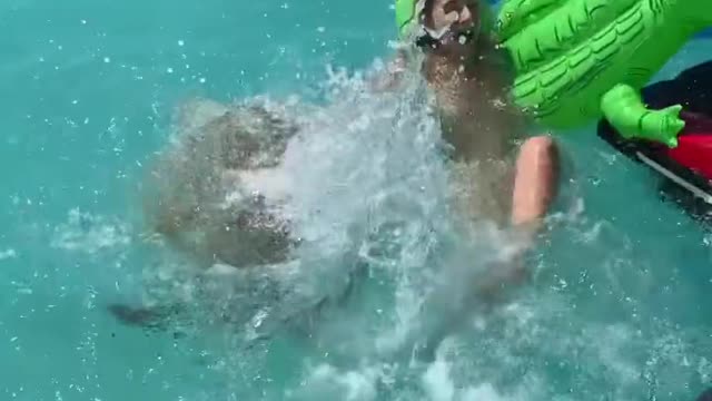 Havuzda yüzen Güzellere Kaplumbağalar Saldirirsan