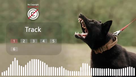 Angry Dog Barking sound effect no copyright # Angry dog noise # dog sounds # HQ