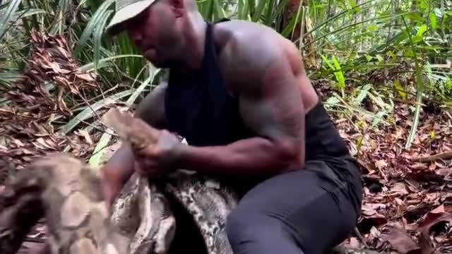 RESCUING BIG PYTHON SNAKE FROM THE FOREST