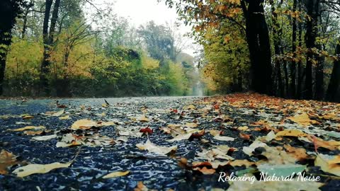 Relaxing rainfall ambient natural atmosphere sound-Rainin HD, sleeps,spa,meditation, readingbook