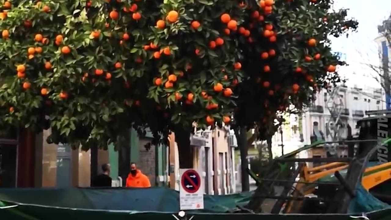 Machine That Shakes Oranges