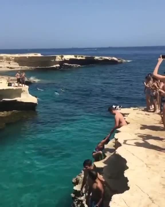 Cute little dog jumps into water with owner