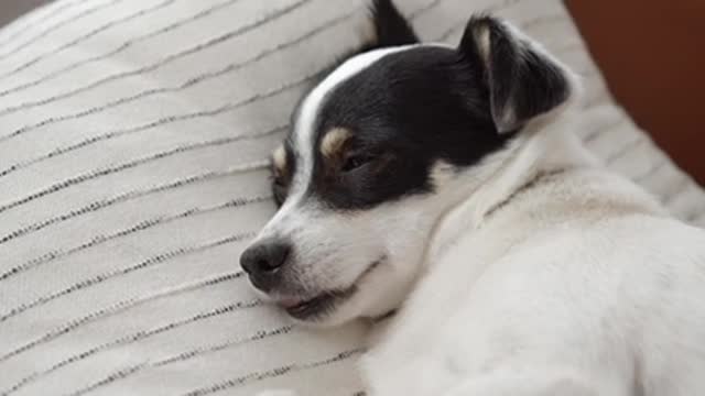 I need his rest