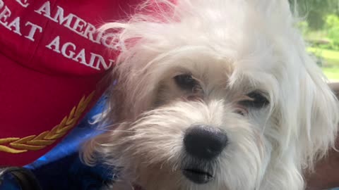 Patriot Loulou news 🗞️ that’s MAGA he went to go see SOME that want to run for President 🤮