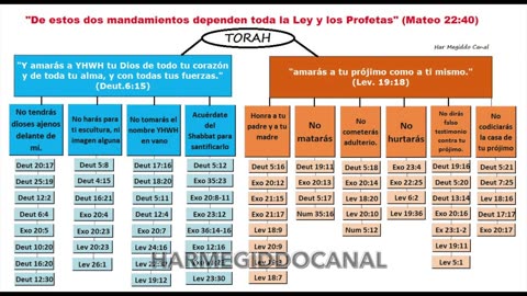 221. Las Ovejas Perdidas de la Casa de Israel (TORAH)