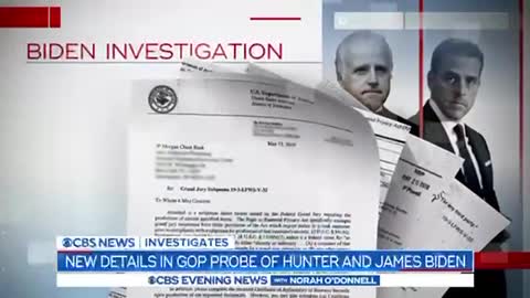 More Than 150+ Transactions by Hunter & James Biden Were Flagged by U.S. Banks