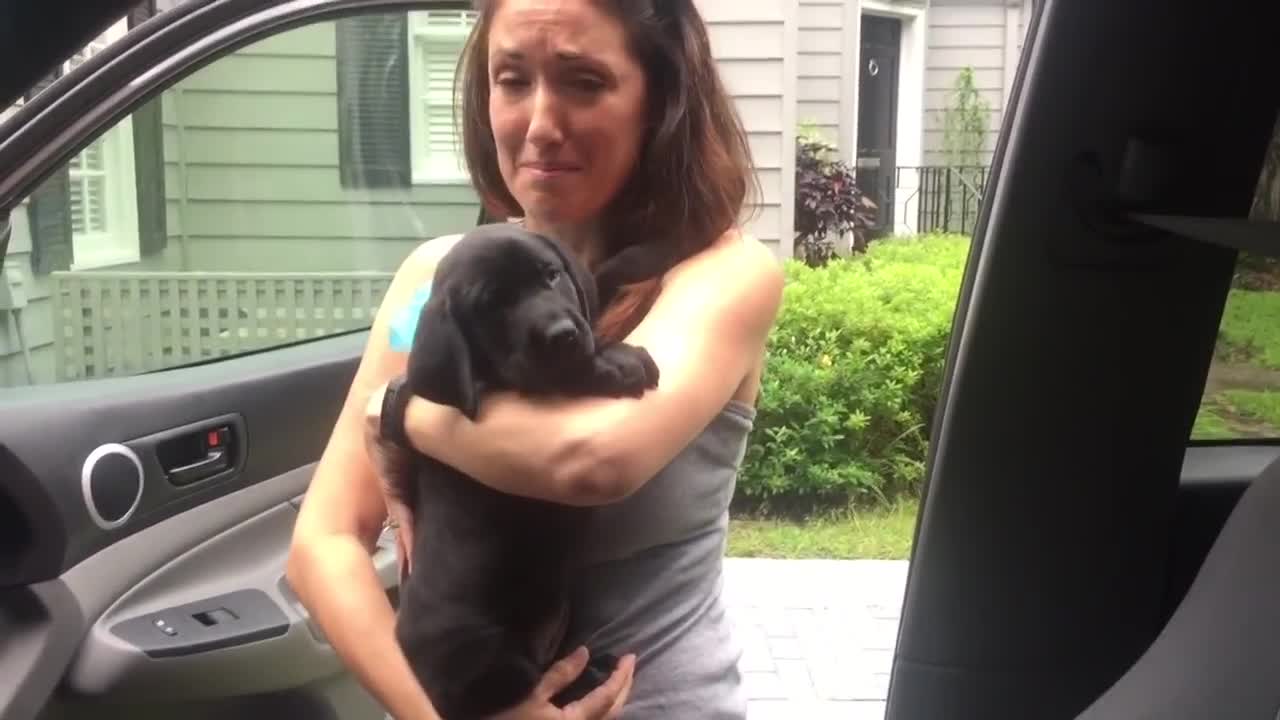 Surprise puppy birthday present