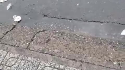 fatty demon pig - 2024 - September 26th - Deleted Youtube Livestream