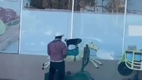 Dog