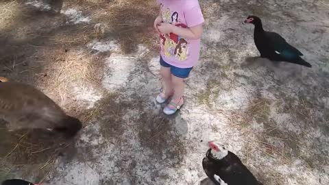 Funny Kids Meet Monkey For The First Time at the zoo