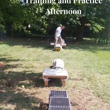 Ruff Cut PodCast: Raised Platform and Balance Beam part 4 afternoon training cut f