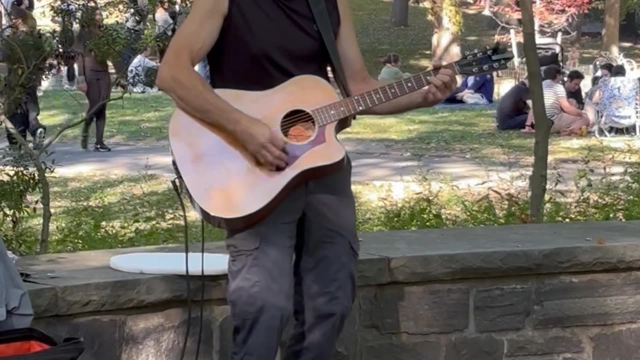 We’ve Got Tonight - Bob Seger Cover - Central Park - Turtle Pond