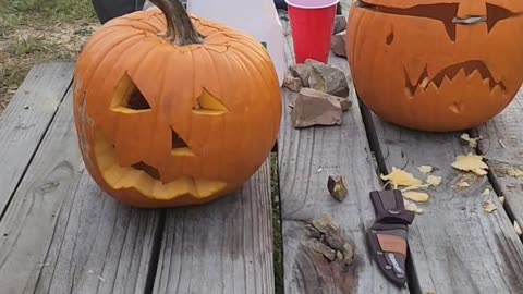 Flock it Farm: Happy Halloween, cooking pumpkin seeds over campfire