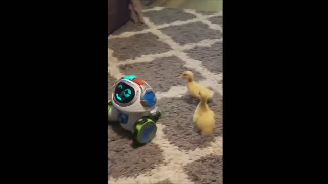 Robot and little yellow duck