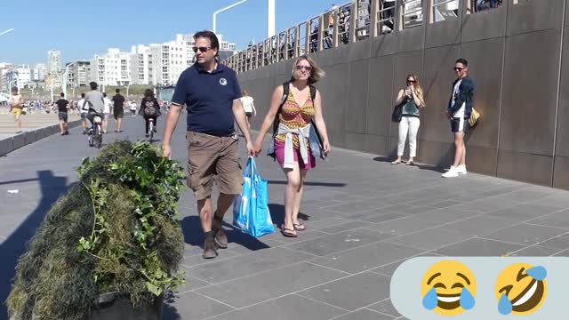 You will laugh like crazy! People and the dog got jump scared.