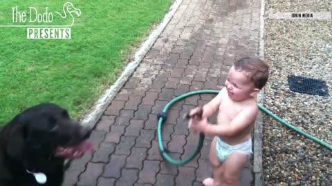 Funny play with cat by Baby