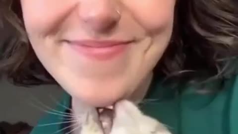 Best Funny Cats Fail ops Moments Viral Clips