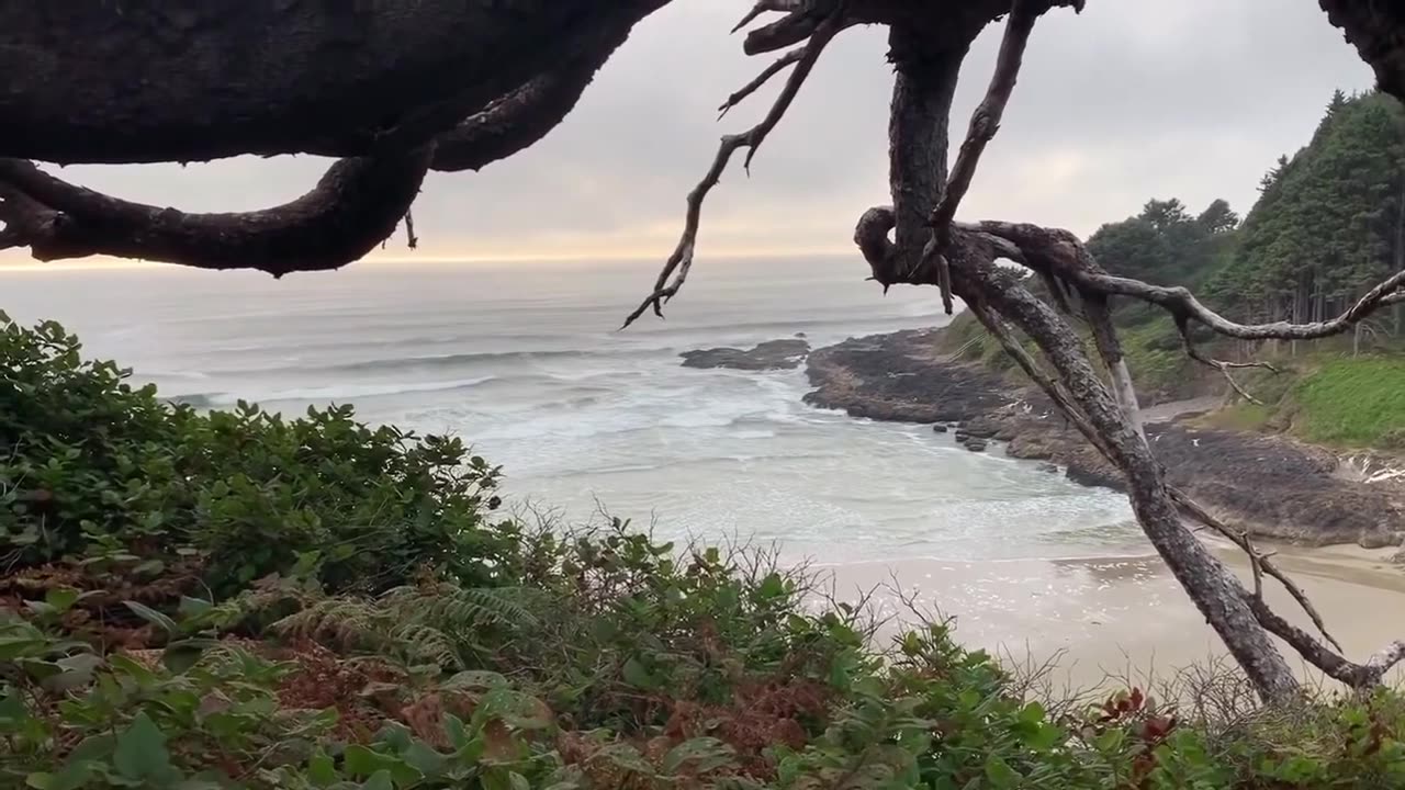 Oregon Coast