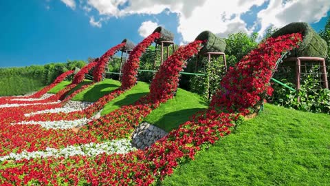 Beautiful Flower Garden Video Download Amazing Blooming Flower