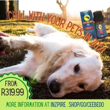 How to boost your body’s immune system and reduce stress & anxiety with Inzpire Health