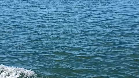 Captree fishing boat