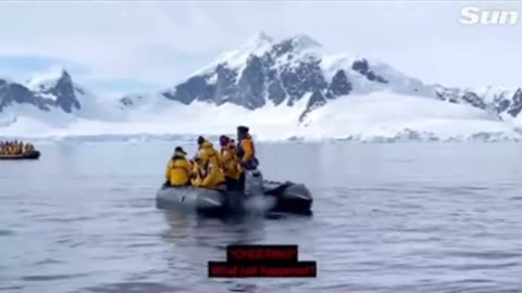 Penguin escapes a pod of killer whales by leaping into a dinghy full of tourists!