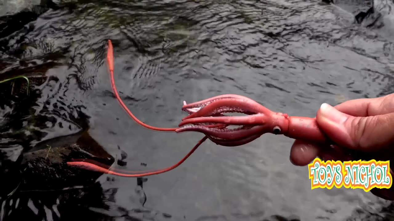 Shrimp and Crab Fight for Place to Find Food Behind the Grass