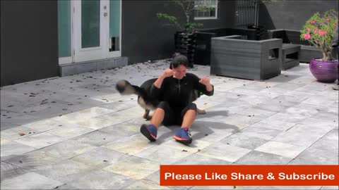 Dog Training Step by Step Guide