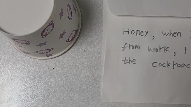 Honey, when you get home from work, I want you to catch the cockroach.