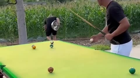 Pool game funny video