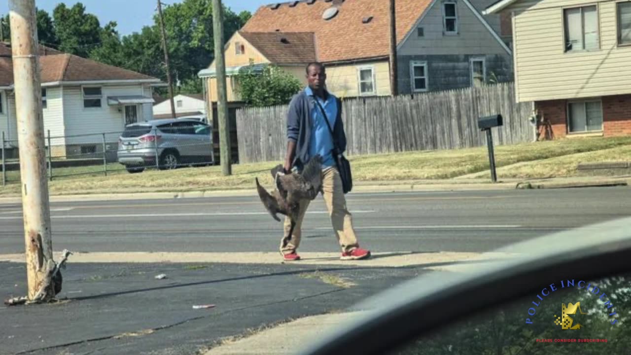 Springfield, Ohio, man reported Haitian migrants snatching geese out of park just 2 weeks ago!