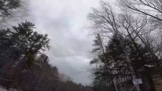 Red-tailed hawk seen while sking